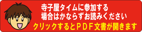 詳しい資料はこちらから（PDF版）